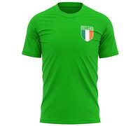 Maillot de football Irlande - T-shirt pour homme avec drapeau rétro de l'Irlande - Maillot de football du pays européen 2021 2020 - T-shirt vert pour homme - Maillot de football irlandais,Vert,Small