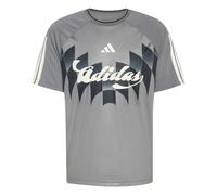 Adidas House Of Tiro X Common Goal Jersey Short Sleeve T-shirt Gris L Homme