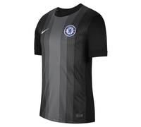 FC Chelsea 2025/26 Stadium Goalkeeper Nike Dri-FIT Maillot de Football à Manches Courtes pour Homme HJ4487