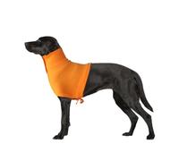 Maillot de Protection Post-Chirurgie Anti-grattage pour Cou pour Chien Chat Lapin