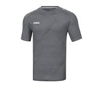 Maillot de Sports Manches Courtes pour Homme, Taille M, Gris Pierre
