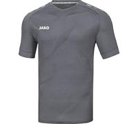 Maillot de Sports Manches Courtes pour Homme, Taille XL, Gris Pierre