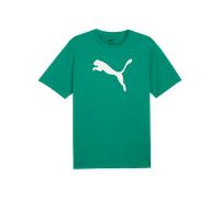 Maillot de Training PUMA teamRISE vert F05 2XL