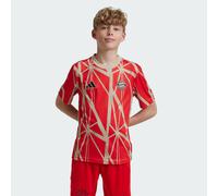Maillot d'échauffement FC Bayern Enfants Red 11-12A