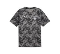 Puma Manchester City Fc 25/26 Pre Match Short Sleeve T-shirt Gris M Homme