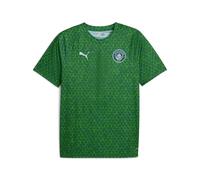Maillot d'échauffement Manchester City 2025/26 Vert M Male