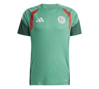 Maillot d'entraînement Algérie Coupe du Monde 2026 Vert M Male