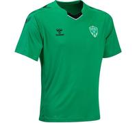 Maillot d'entraînement de Football HUMMEL AS Saint-Etienne 22/23 - Enfant - Vert 164 cm