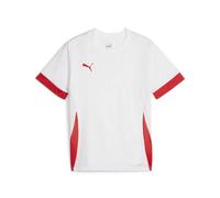 Puma Maillot de football Teamgoal Matchday Unisexe Jr
