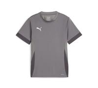 Maillot d'entraînement enfant Puma TeamGoal Gris 12 ans
