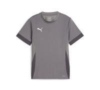 Maillot d'entraînement enfant Puma TeamGoal Gris 6 ans
