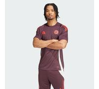 Maillot d'entraînement FC Bayern Tiro 24 Shadow Maroon / Red S