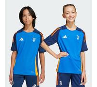 Adidas Juventus Unisex Jerseys/Réplicas - Bleu - Taille: 171 - 176 CM - Poly Mesh - Foot Locker Blue 171 - 176 CM