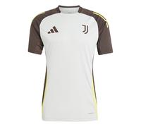 Maillot d'entraînement Juventus Turin Tiro 2024/25 Gris S Male