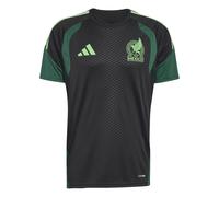 Adidas Mexico 26/27 Tiro Training Short Sleeve T-shirt Vert M / Regular Homme
