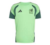 Adidas Mexico 26/27 Tiro Training Short Sleeve T-shirt Vert S / Regular Homme