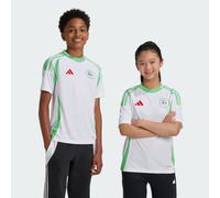 Maillot Domicile Algérie 24 Enfants White / Semi Flash Green 9-10A
