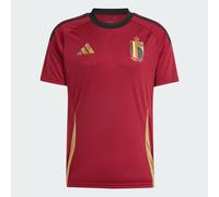 Maillot Domicile Fan Belgique 24 Team Coll Burgundy 2 S