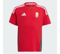 Maillot Domicile Fan Hongrie 24 Enfants Team Victory Red / Collegiate Green 11-12A