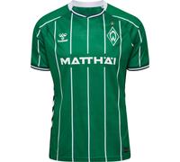 Maillot Domicile Werder de Brême 2025/26 Vert M Unisex