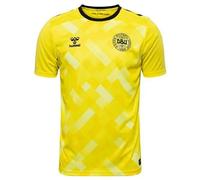 Maillot du gardien de but Danemark 2024 Jaune M Unisex