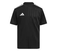 Adidas Campeon 25 Short Sleeve T-shirt Noir 15-16 Years Enfants