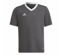 adidas Unisex Kids Jersey Ent22 JSY Y, Tegrfo, H57499, 164 EU