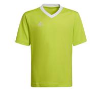 Maillot enfant adidas Entrada 22 Jaune 9/10 ans