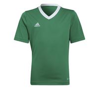 Maillot enfant adidas Entrada 22 Vert 7/8 ans Unisex