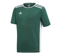 Maillot enfant adidas Entrada Vert 11/12 ans Male