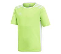 Maillot enfant adidas Entrada Vert 9/10 ans Male