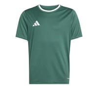 Maillot enfant adidas Entrada26 Vert 13/14 ans
