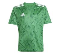 adidas Team Icon 25 T-shirt Training Jr Vert/Blanc 152