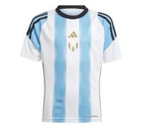 Adidas Messi Training Short Sleeve T-shirt Blanc,Bleu 13-14 Years Garçons,Filles