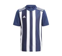 Adidas Striped 21 Short Sleeve T-shirt Blanc,Bleu 13-14 Years Garçon