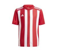 Adidas Striped 21 Short Sleeve T-shirt Rouge,Blanc 13-14 Years Enfants