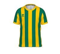 Maillot enfant Errea Trip Vert 9/10 ans