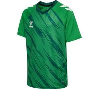 Maillot enfant Hummel Triumph Vert 8 ans