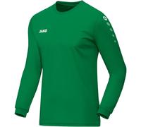 Maillot enfant Jako Team manches longues Vert 9/10 ans