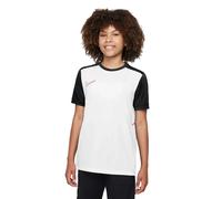Maillot enfant Nike Academy Blanc 8/10 ans Unisex