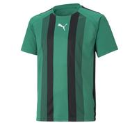 PUMA Teamliga Striped Jersey Jr Shirt Mixte enfant, Pepper Green-Puma Black-Puma White, Taille 140/10 ans