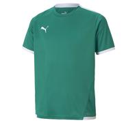 Maillot enfant Puma Team Liga Vert 10 ans Unisex