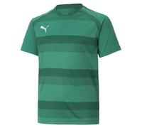 Maillot enfant Puma TeamVision Vert 7/8 ans Unisex