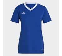 Maillot Entrada 22 Royal Blue 2XS