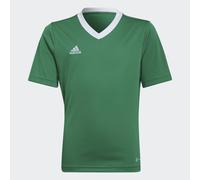 Maillot Entrada 22 Team Green / White 9-10A