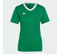 Maillot Entrada 22 Team Green / White L