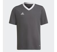 Maillot Entrada 22 Team Grey Four 9-10A