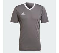Maillot Entrada 22 Team Grey Four XL