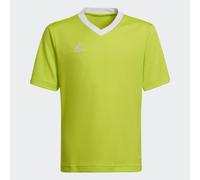 Maillot enfant adidas Entrada 22 Jaune 5/6 ans Unisex