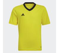 Maillot Entrada 22 Team Yellow / Black 5-6A
